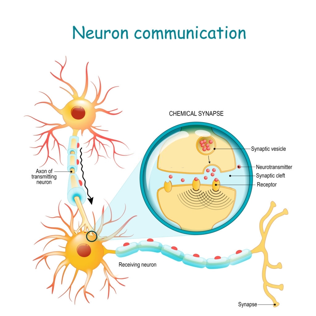 Neurotransmitter